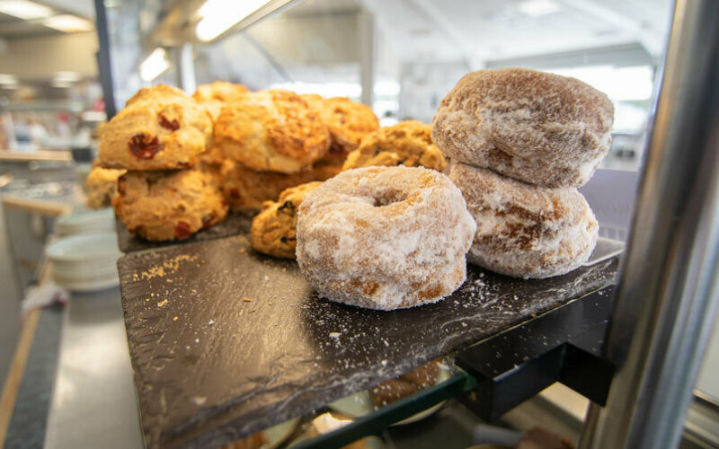 Large Sugar Doughrings