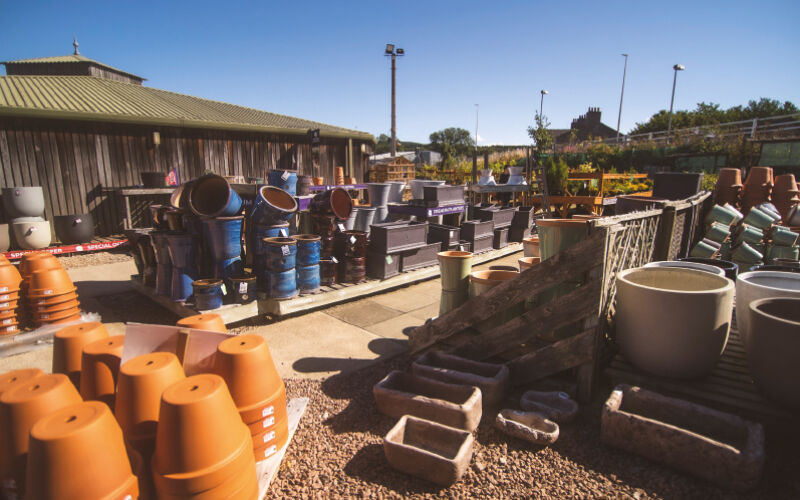 Pots & Planters